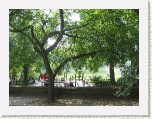Central Park - Harlem * 2592 x 1944 * (2.39MB)